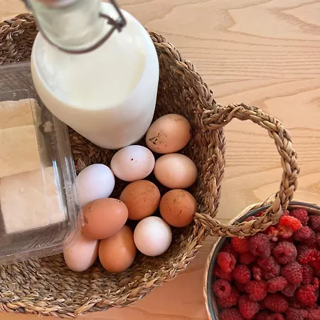 Vikendica Nova Drina