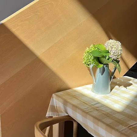 Дом отдыха Nova Drina *